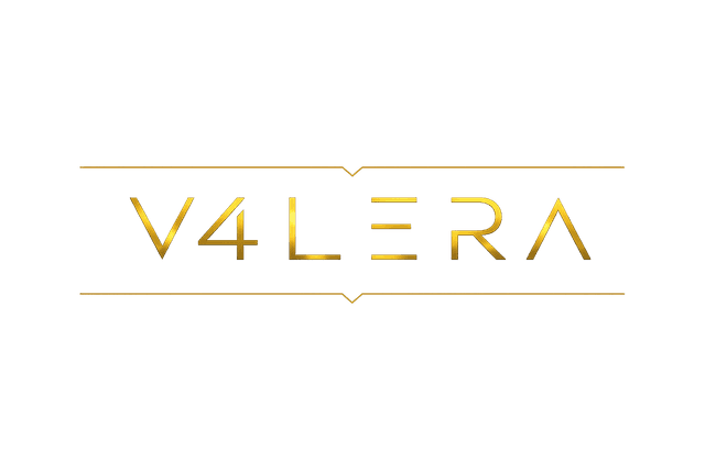 V4LERA Online Coaching